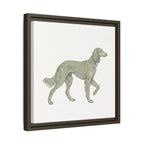 The Saluki Canvas — Framed Hound Print