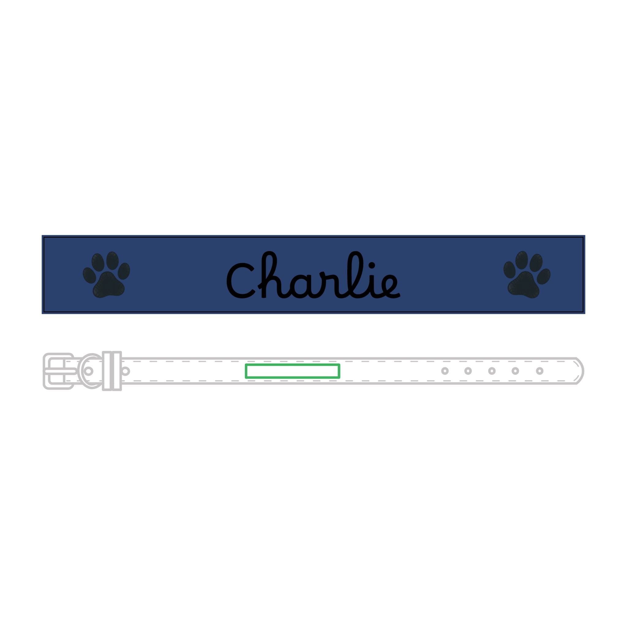 The Engraved Leather Collar — Name & Paw Print — view 13