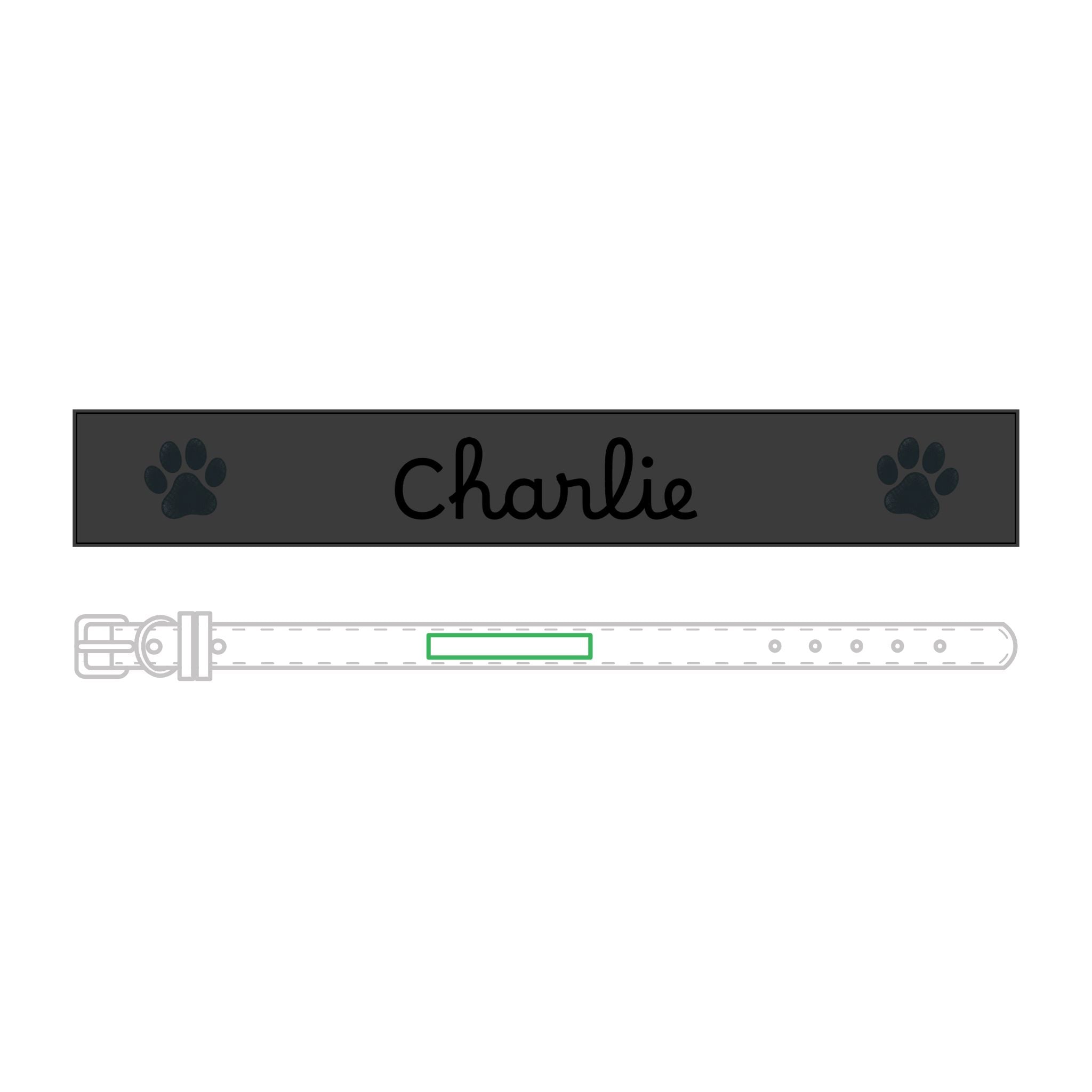 The Engraved Leather Collar — Name & Paw Print — view 21