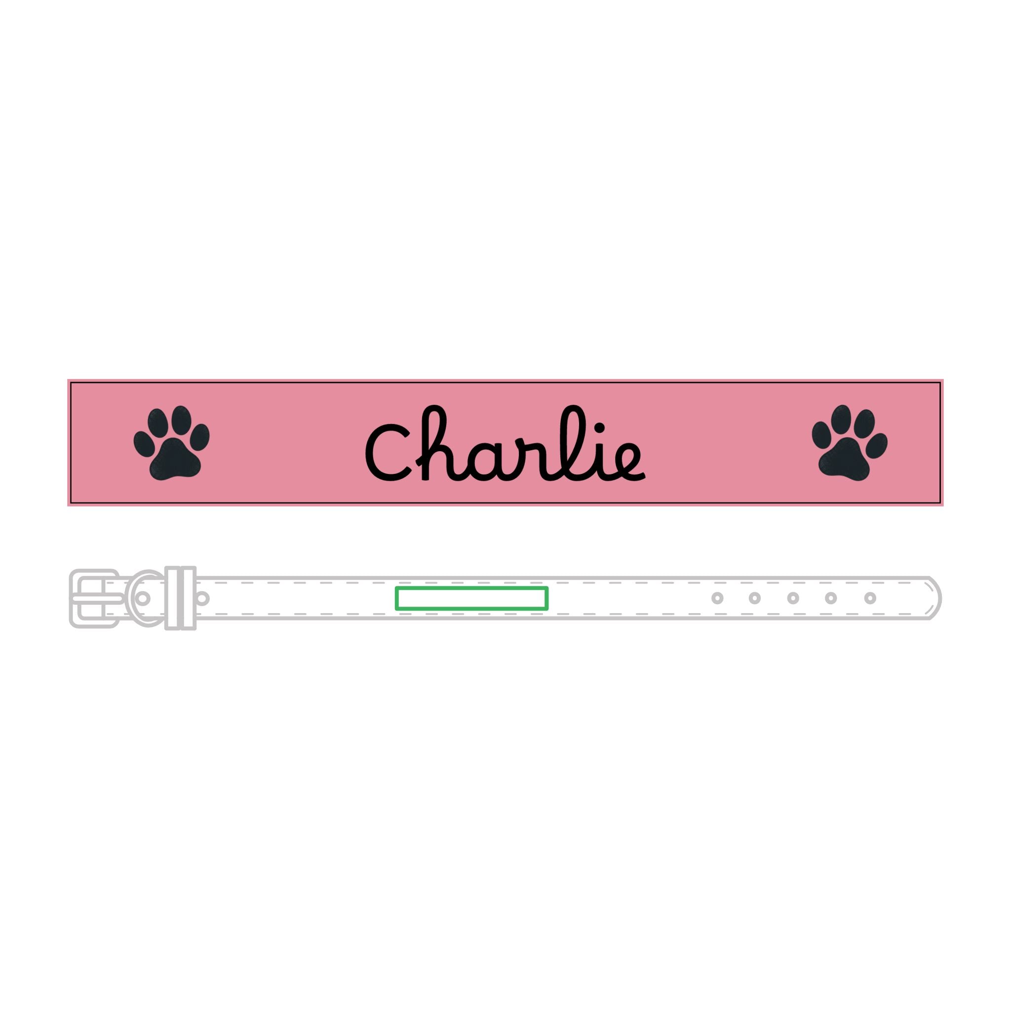 The Engraved Leather Collar — Name & Paw Print — view 15
