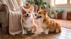 Custom Shaped Pet Pillows — view 4