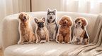 Custom Shaped Pet Pillows — view 2