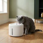 The Circulating Water Bowl — Aspen Paws