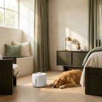 The Circulating Water Bowl — Aspen Paws