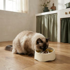 The Pace-Yourself Slow Feeder — Aspen Paws