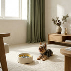 The Pace-Yourself Slow Feeder — Aspen Paws