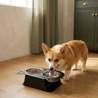 The Steady-Sip Bowl — Aspen Paws