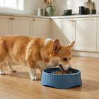 The Switch Slow-Feed Bowl — Aspen Paws
