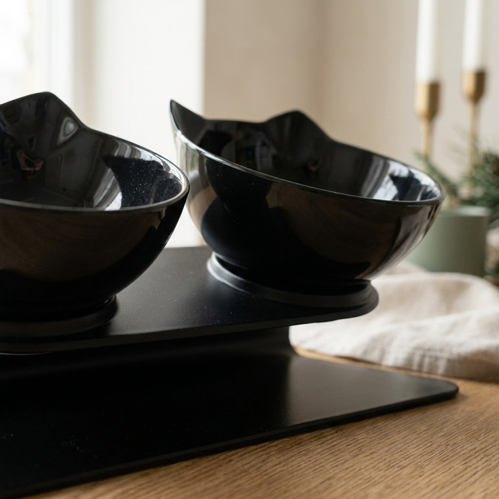 The Neck-Kind Double Bowl — Aspen Paws