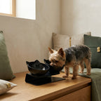 The Neck-Kind Double Bowl — Aspen Paws