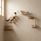 The Skyline Wall Set — Aspen Paws