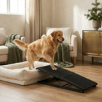 The Easy-Up Car Ramp — Aspen Paws