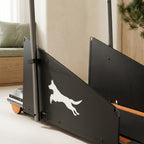 The Daily Pacer Treadmill — Aspen Paws