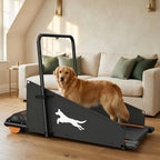The Daily Pacer Treadmill — Aspen Paws