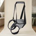 The Helping-Hand Support Sling — Aspen Paws
