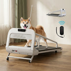 The Daily Pacer Treadmill II — Aspen Paws