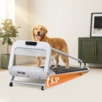 The Daily Pacer Treadmill II — Aspen Paws