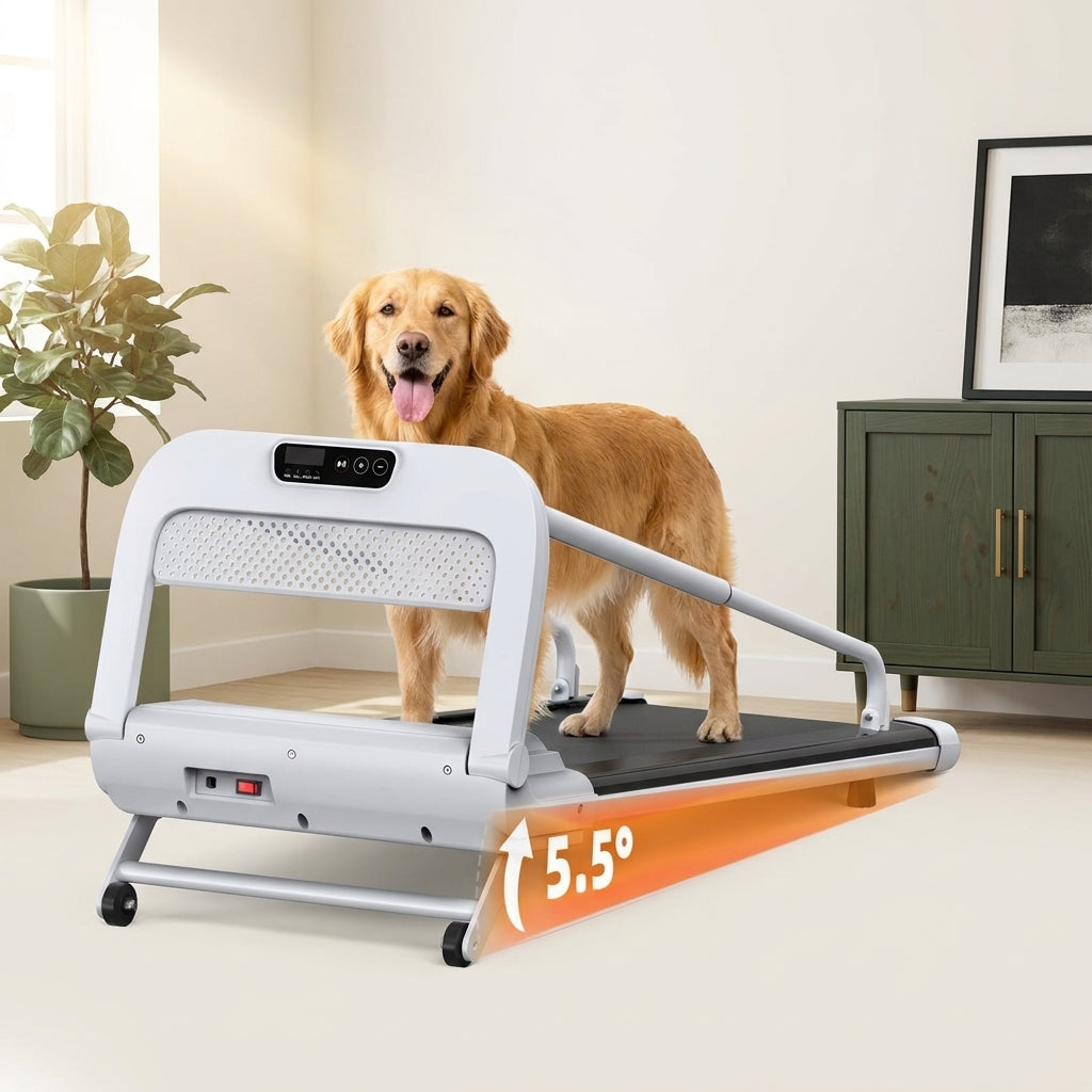 The Daily Pacer Treadmill II — Aspen Paws