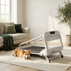 The Daily Pacer Treadmill II — Aspen Paws