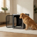 The Fold-Flat Travel Crate — Aspen Paws