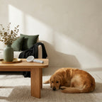 The Everyday Grooming Comb — Aspen Paws