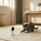 The Midnight Chase Laser — Aspen Paws