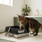 The No-Track Steel Litter Box — Aspen Paws