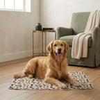 The Triple-Layer Floor Pad — Aspen Paws