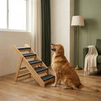 The Four-Step Timber Stairs — Aspen Paws