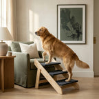 The Three-Step Timber Stairs — Aspen Paws